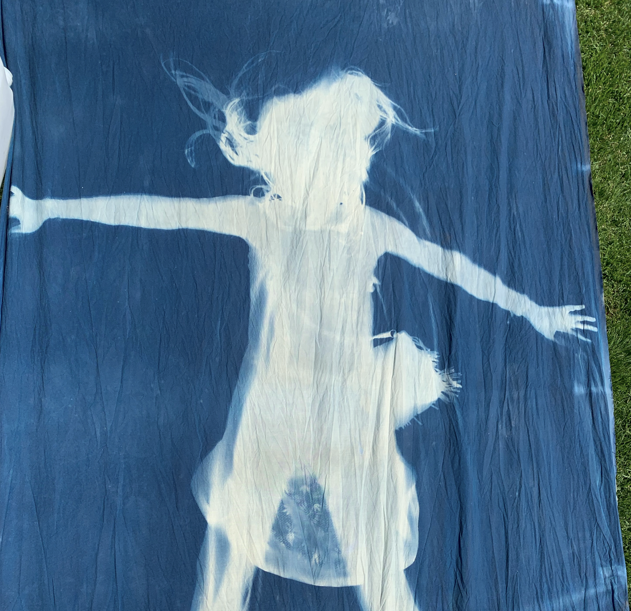 Cyanotype — Cyanotype